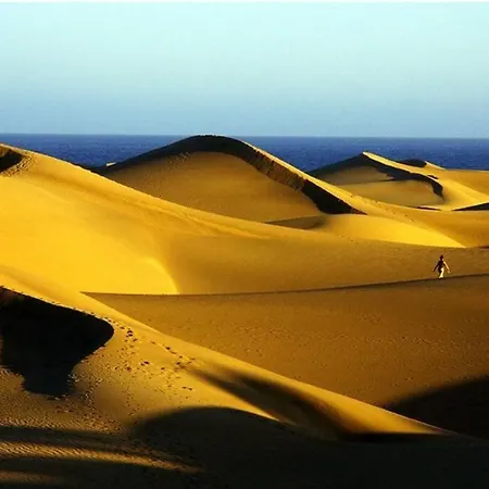 Sunshine 435 By Casas Cocodrilo Appartement Playa del Inglés