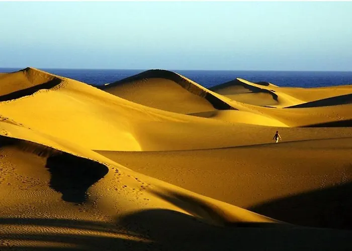 Sunshine 435 By Casas Cocodrilo Appartement Playa del Inglés